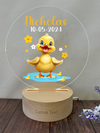 a clear acrylic with a yellow rubber ducky on it